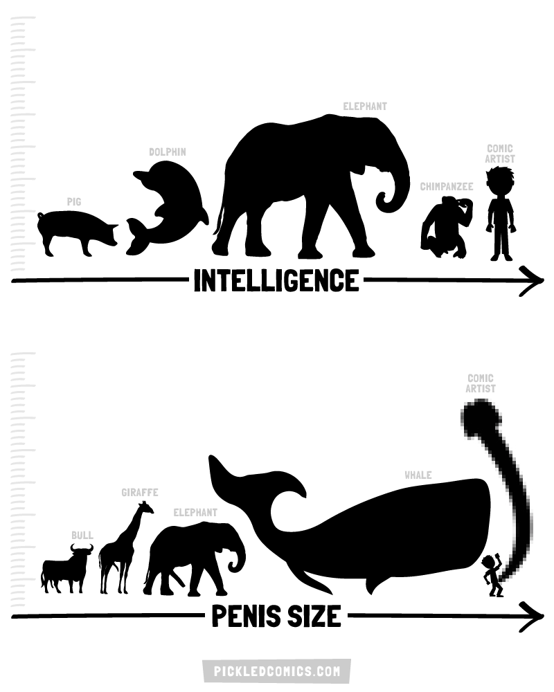 Intelligence and Penis Size in the Animal Kingdom.