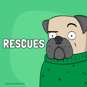 Rescues